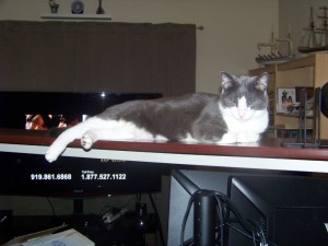 desk-kismet