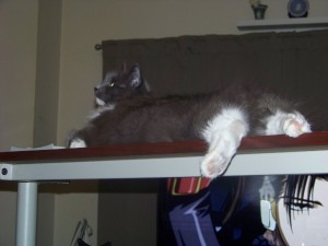 desk-packet